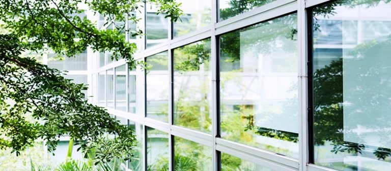 6 Benefits of Embracing Sustainability in Your Business