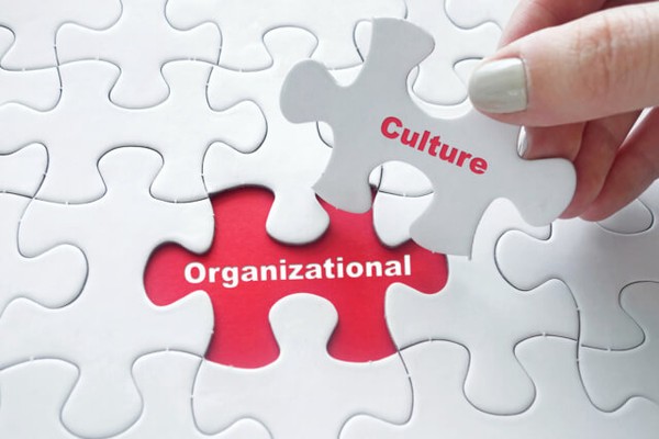 Why Cultural Fit Matters in Near Teams: How Nearshore Staffing Avoids Collaboration Issues