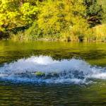 How to Choose the Right Size Pond Aeration Pump for Your Pond