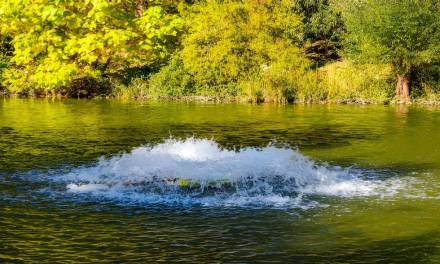 How to Choose the Right Size Pond Aeration Pump for Your Pond